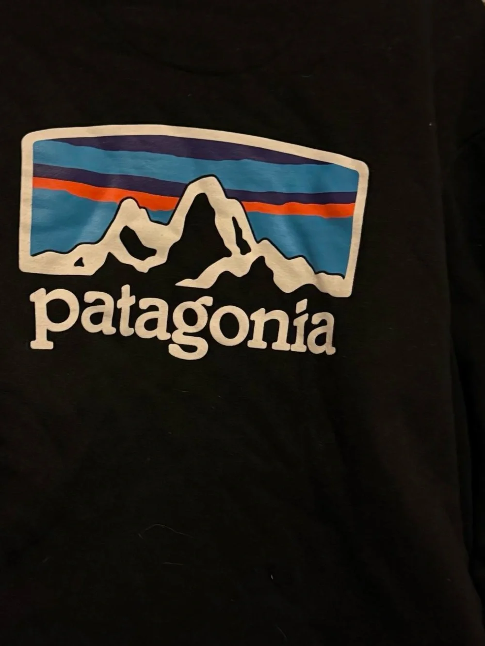 Patagonia black hoodie